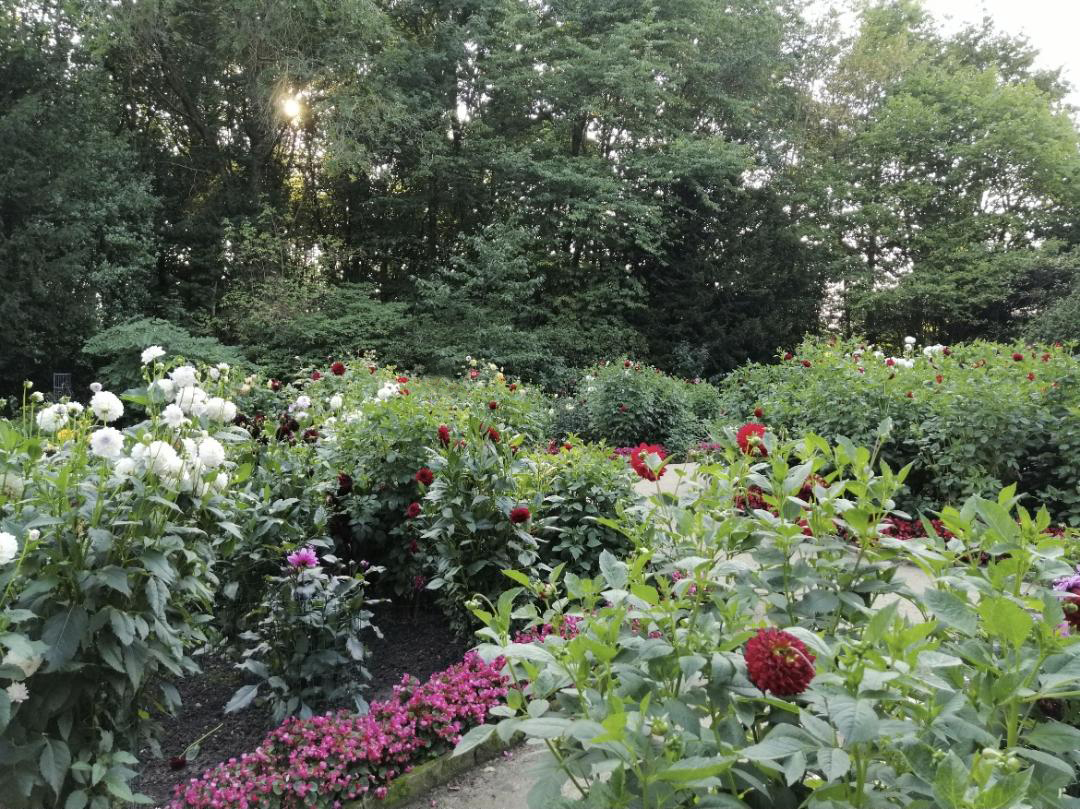 Buergerpark2